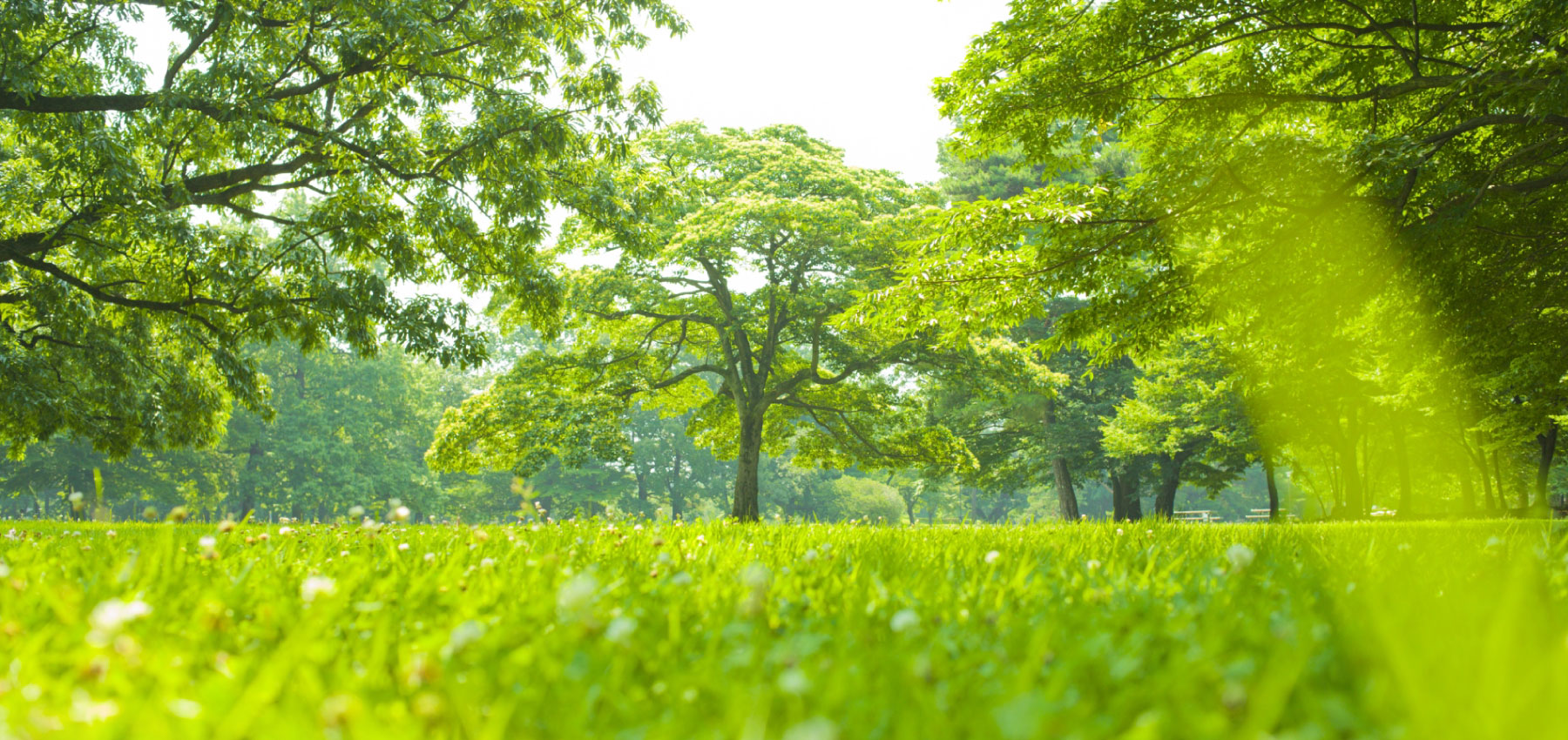 トップイメージ01